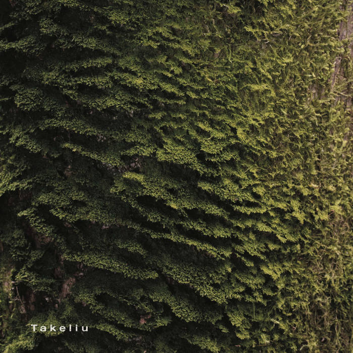 S Gytis — Takeliu cover art