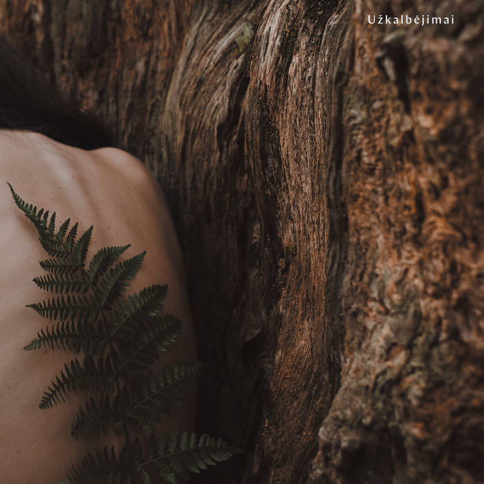VytisVA & La'Shaour — Užkalbėjimai cover art